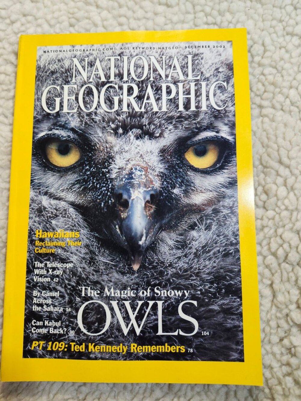 National Geographic Magazine December 2002 Snowy Owls Issue PT 109 Ted Kennedy